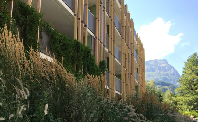 11.16-13.18-HALPADES-ET-PRIMALP-SALLANCHES-12-2