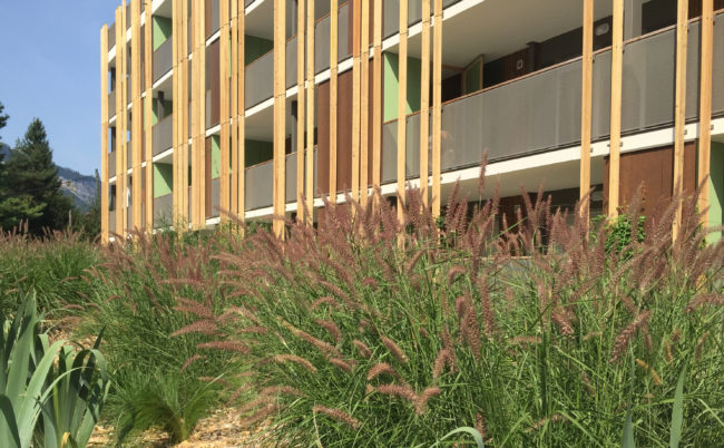 11.16-13.18-HALPADES-PRIMALP-SALLANCHES-11-1-scaled